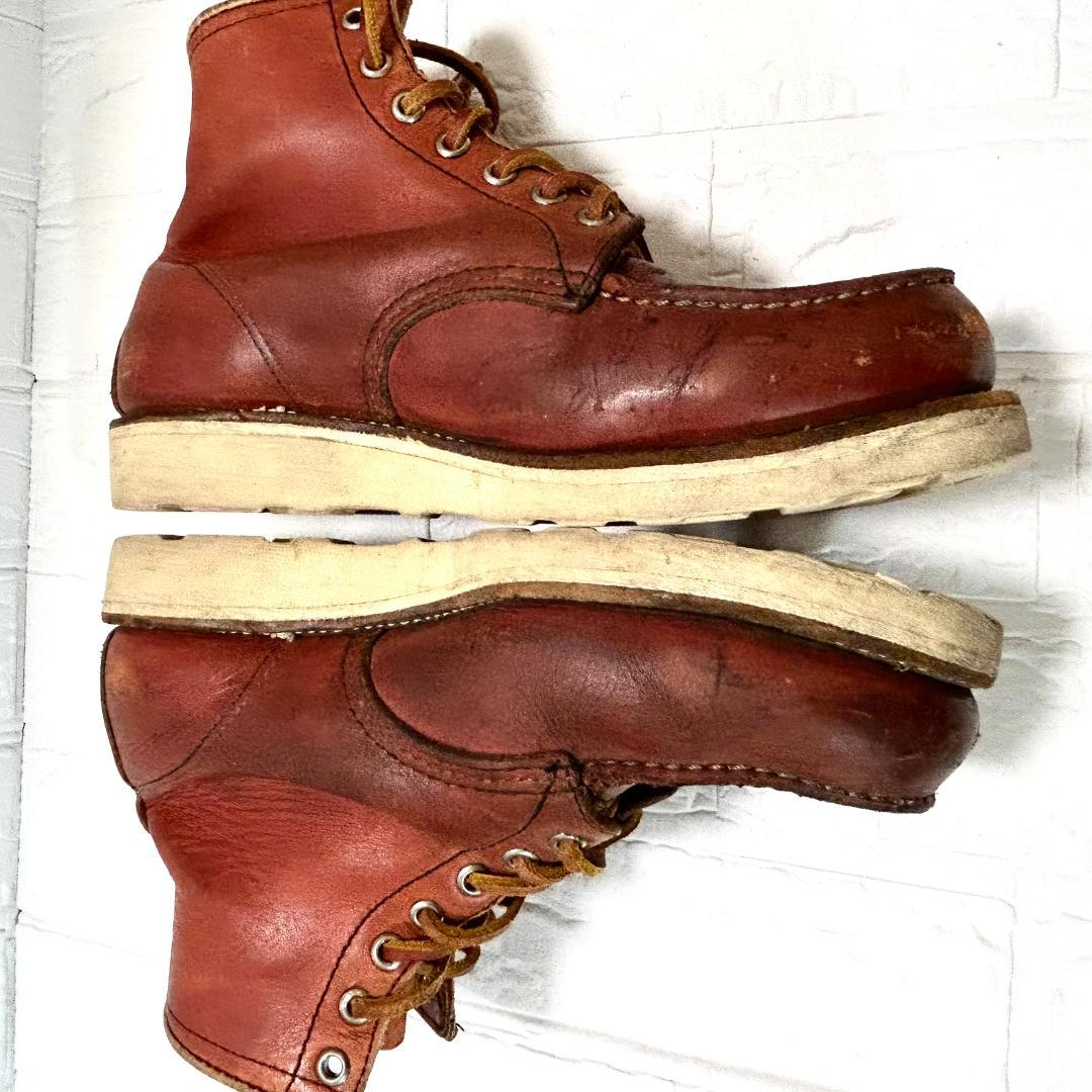 アイリッシュセッター