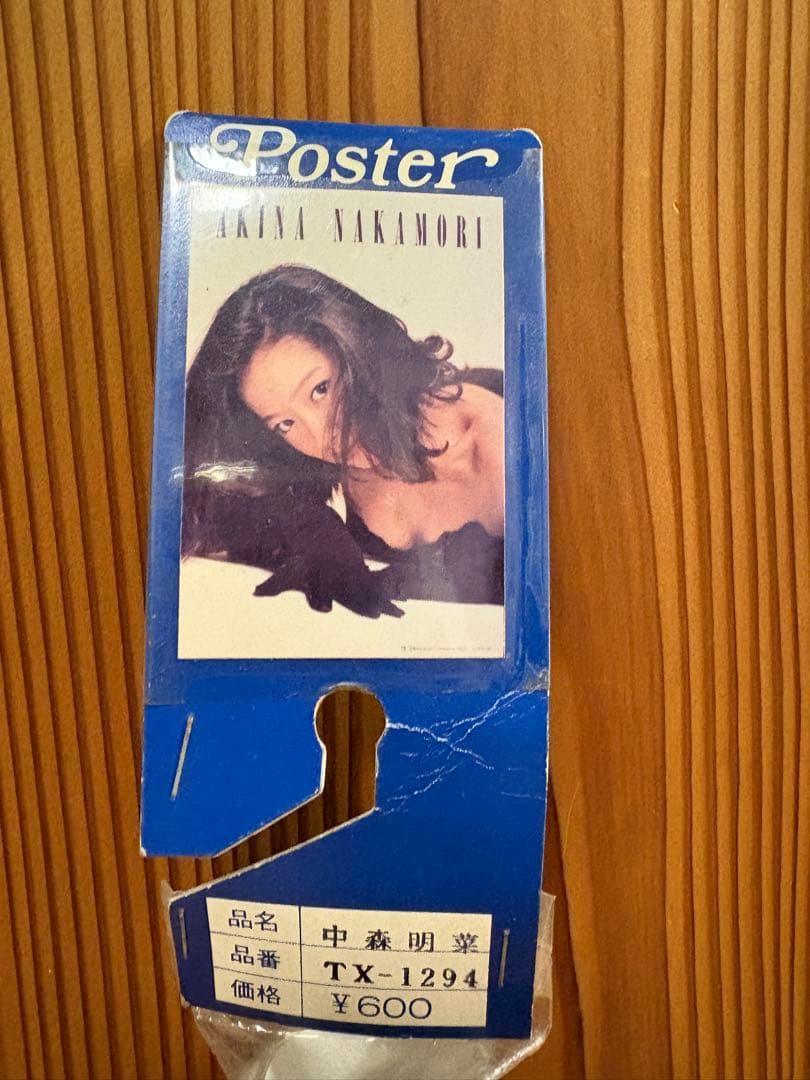 中森明菜 ポスター TX-1294 610X910mm