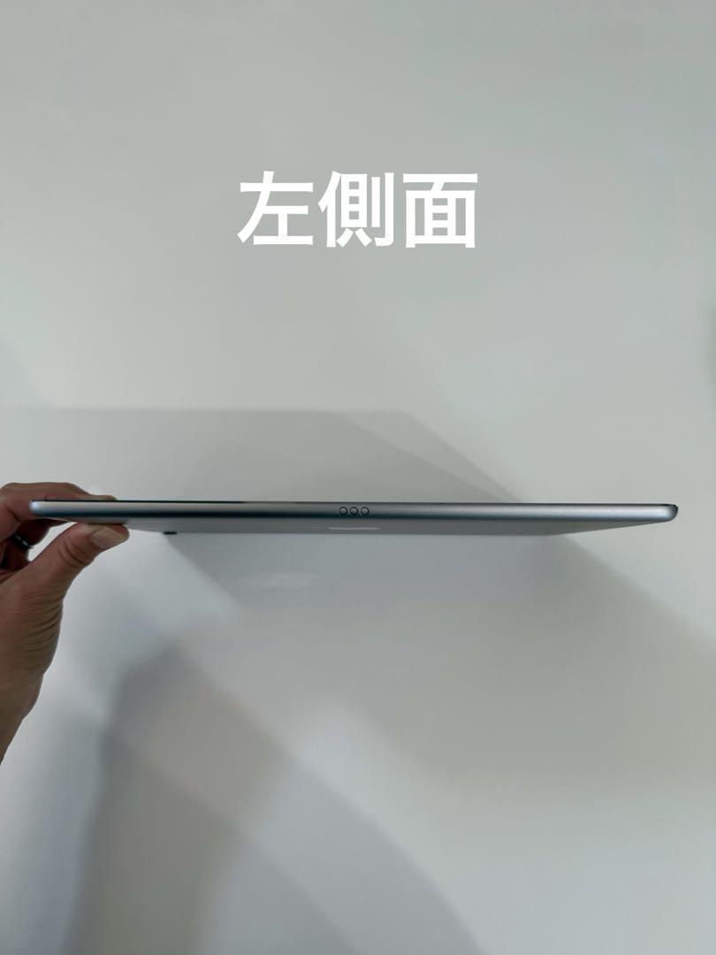 第1世代】iPad Pro 9.7インチ Wi-Fi+Cellular 128GB スペース