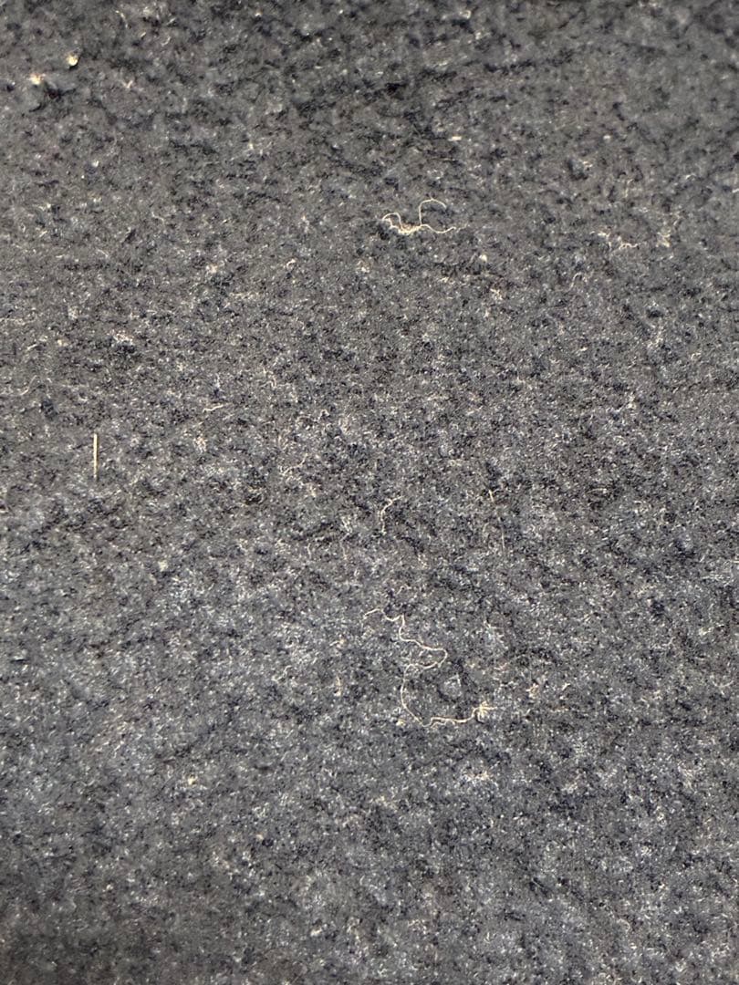 90s ヴィンテージ チャンピオンchampion USA製 パーカー 青タグ 90s ヴィンテージ チャンピオンchampion USA製 パーカー 青タグ