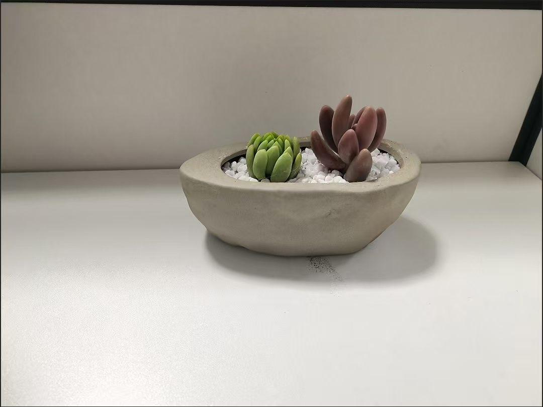 多肉植物 セメント風鉢 小型