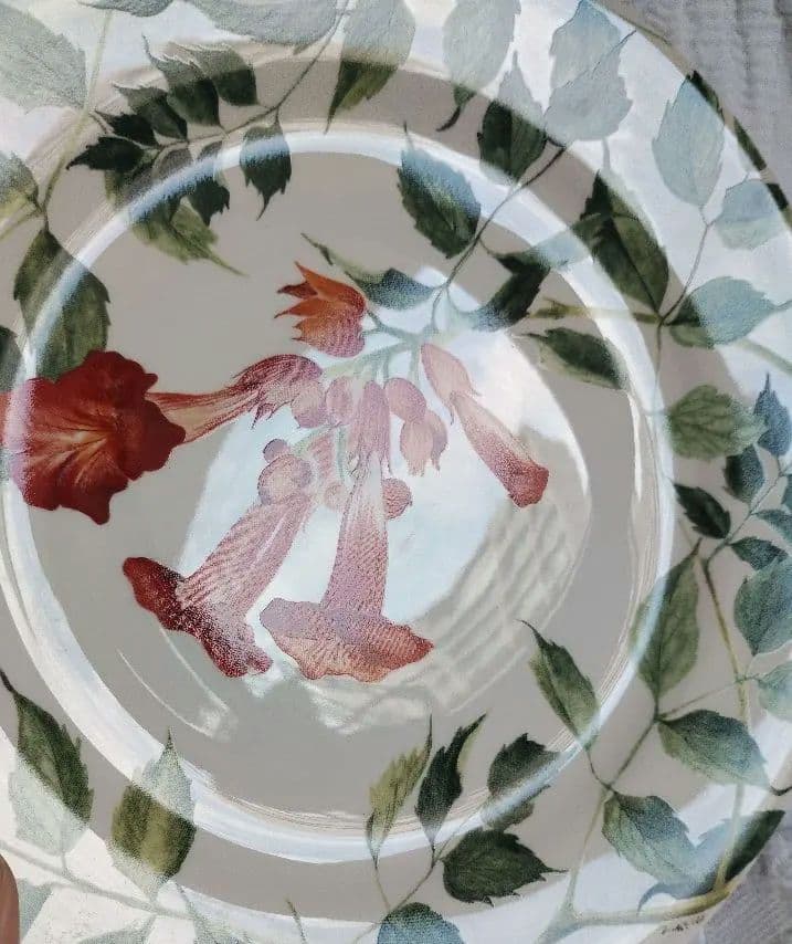 ジアン ラマディズ 22.5㎝プレート2枚Gien WWW_OPDRERGINERDOGAN_COM