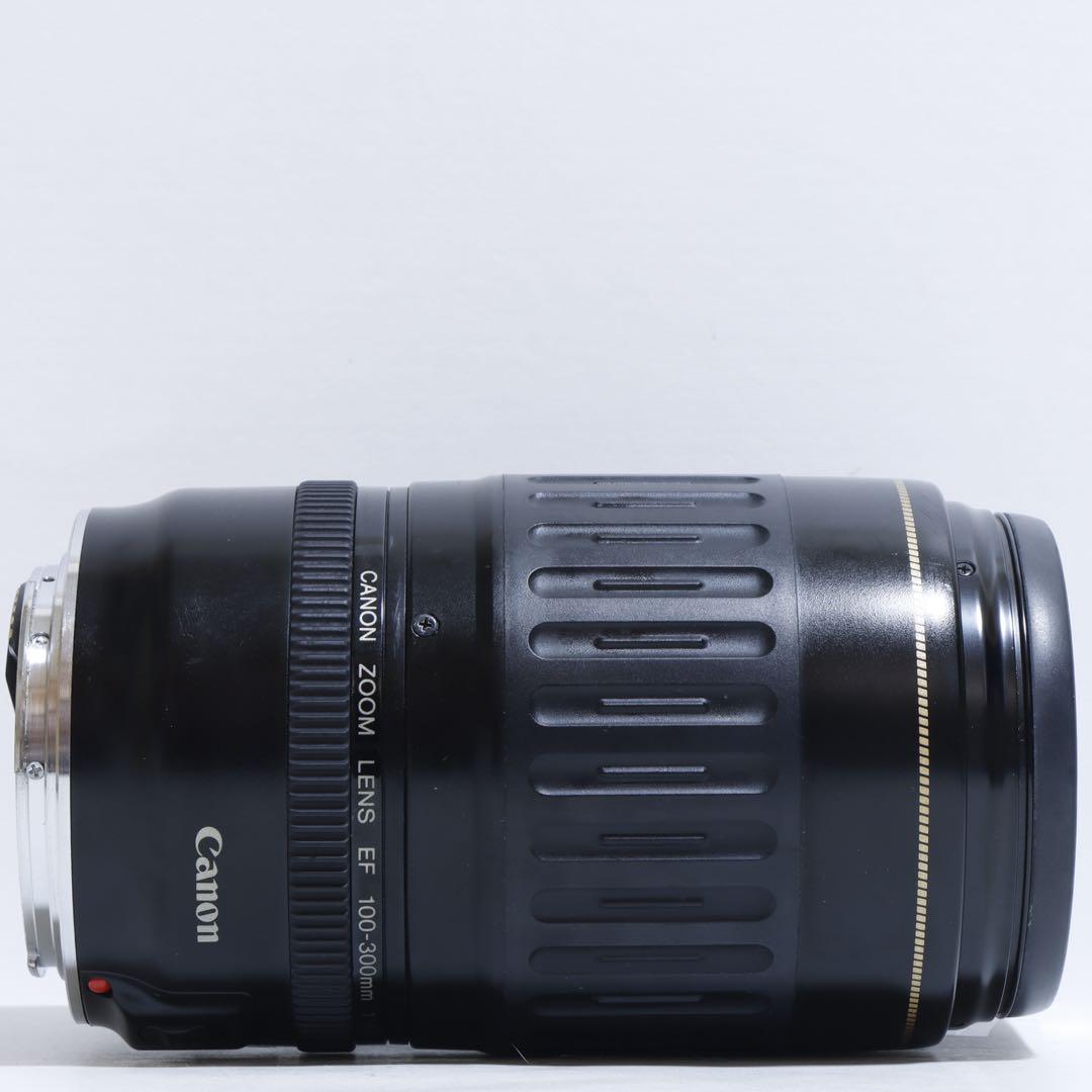 ◇超望遠&高速AF◇Canon純正 300mm 望遠レンズ!!◇ - メルカリ