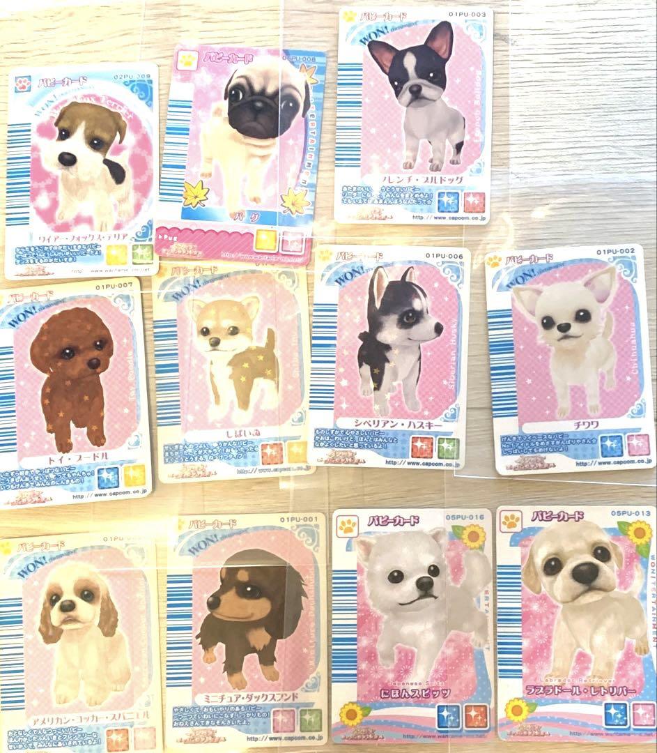 ワンタメ　ミュージックチャンネル　カード11枚 セット