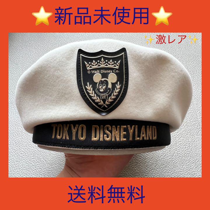 数量限定 激レア 新品未使用 送料無料 ディズニーランドベレー帽 Www Tonna