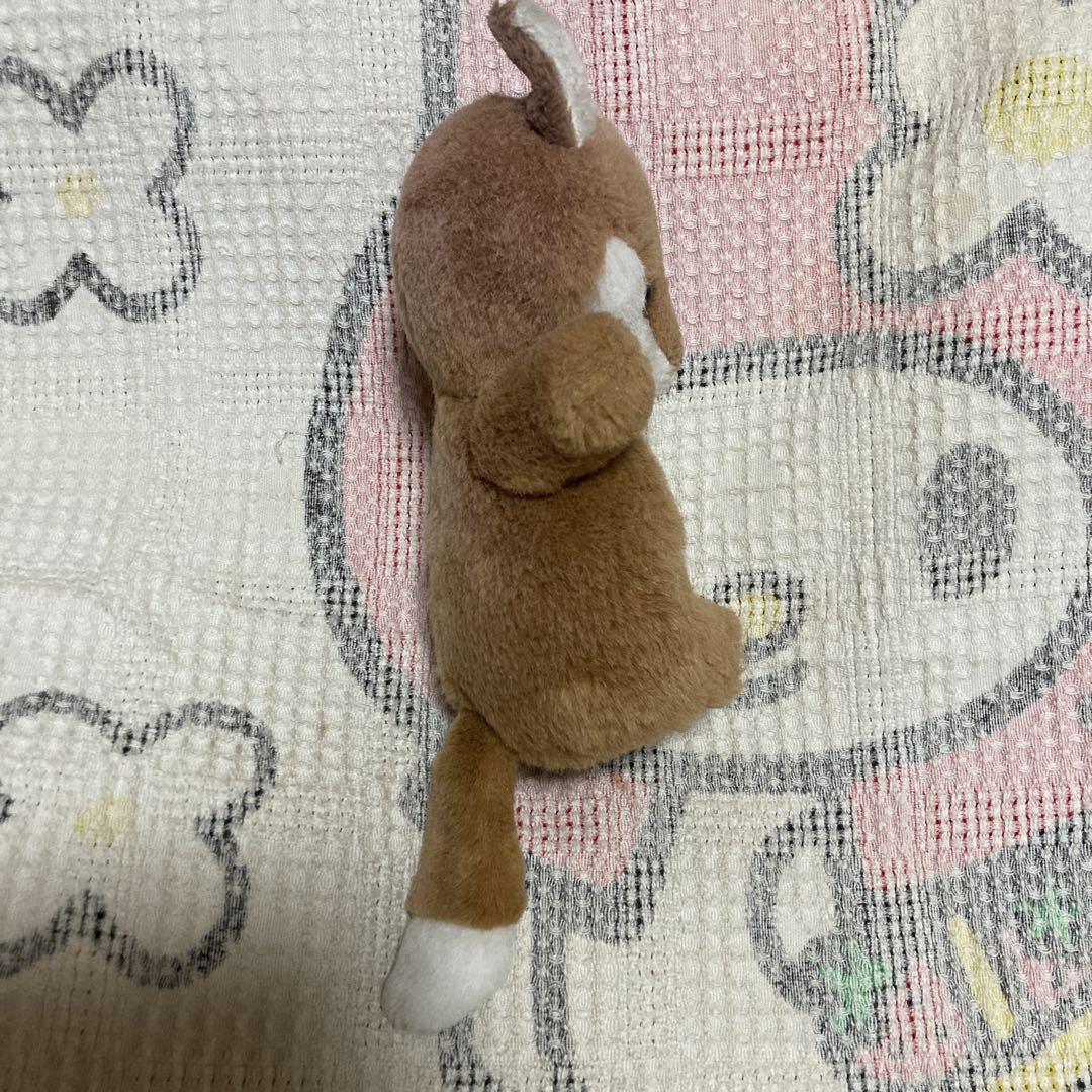 ぬいぐるみの三英　キタキツネ　チロンノプ　ぬいぐるみ　中古品　②