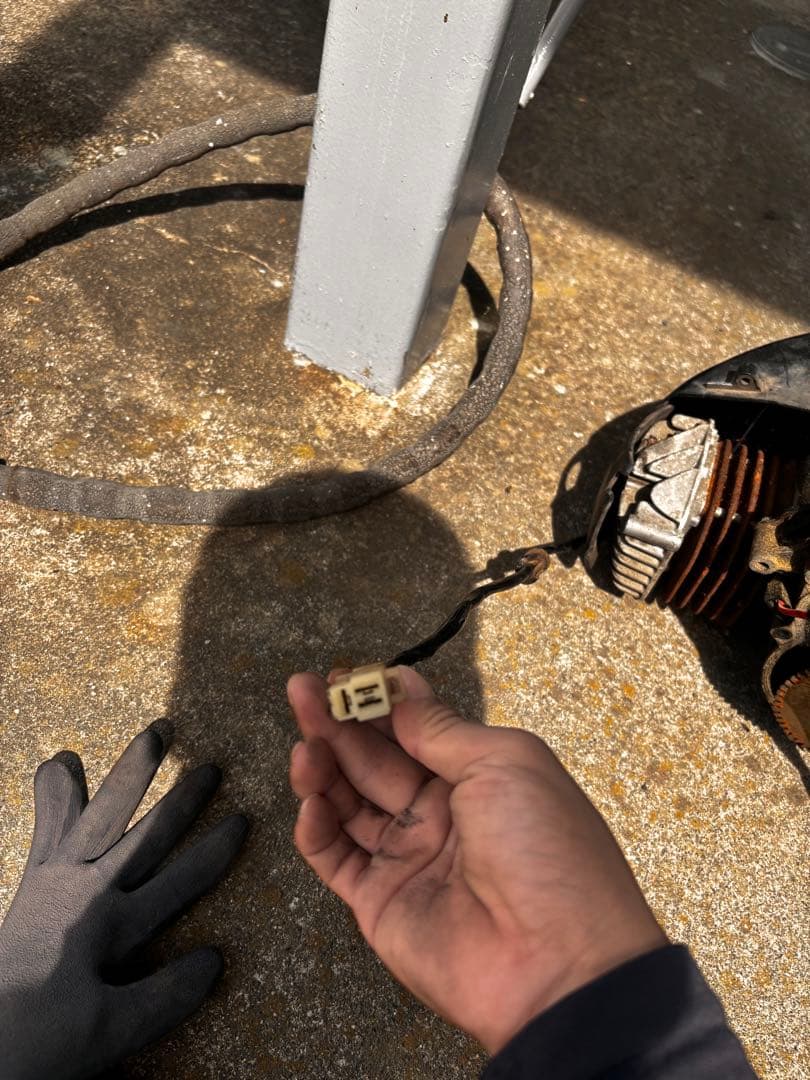 ホンダ Live Dio AF34やや傷や汚れあり BRIGHTFACE_UK