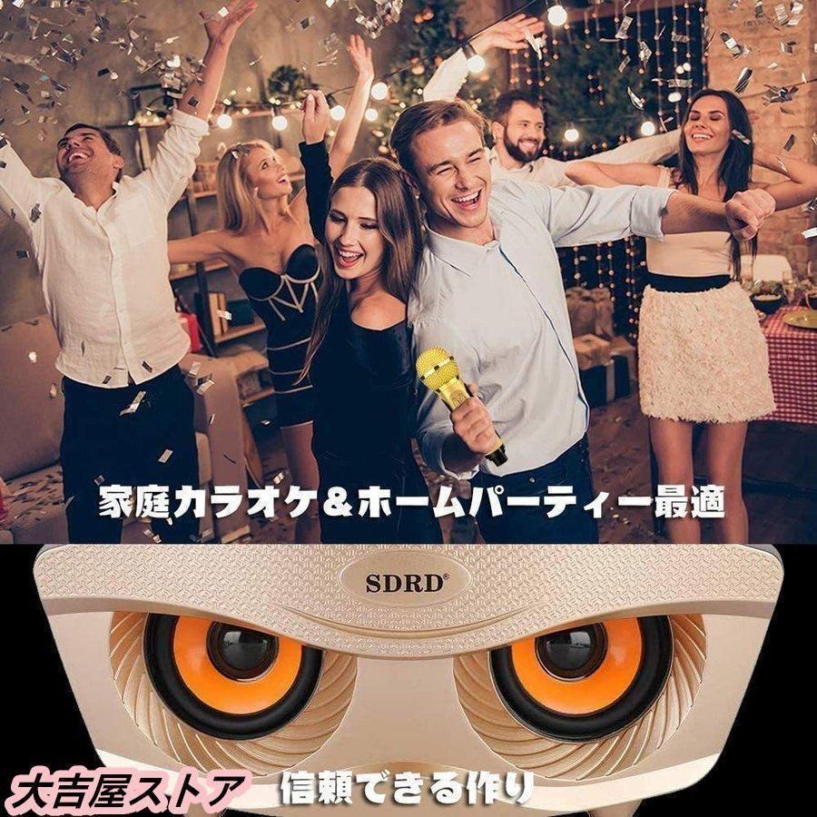 手持ちマイク2本セット Bluetooth カラオケマイク ワイヤレス