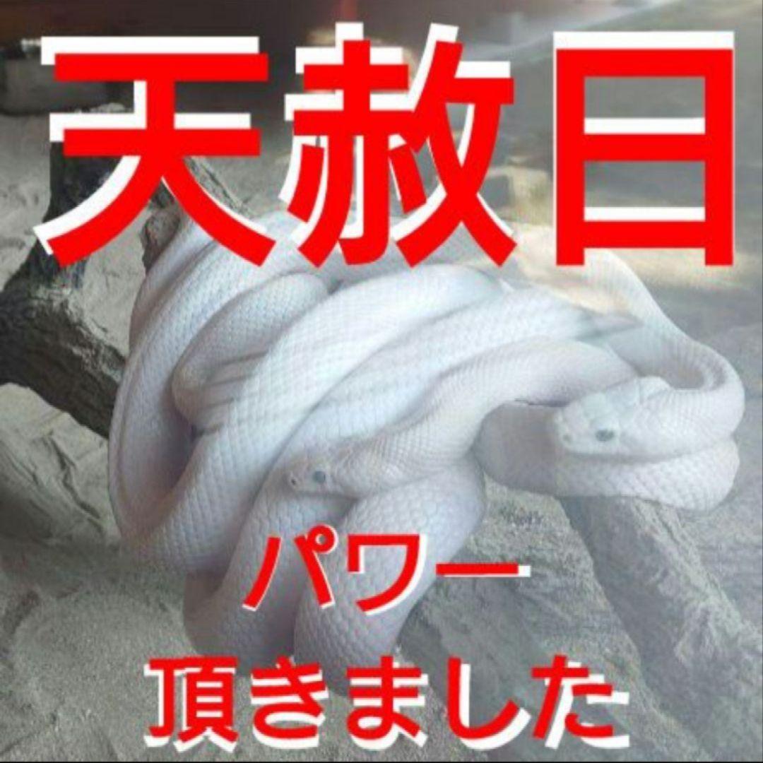 限定⭕宝くじ高額当選❕福の神大黒天☆最強虹入本水晶パワーストーンブレス参拝お守り 完売限定⭕宝くじ高額当選‼️叶❤福の神大黒天⭕️虹ゴールデン