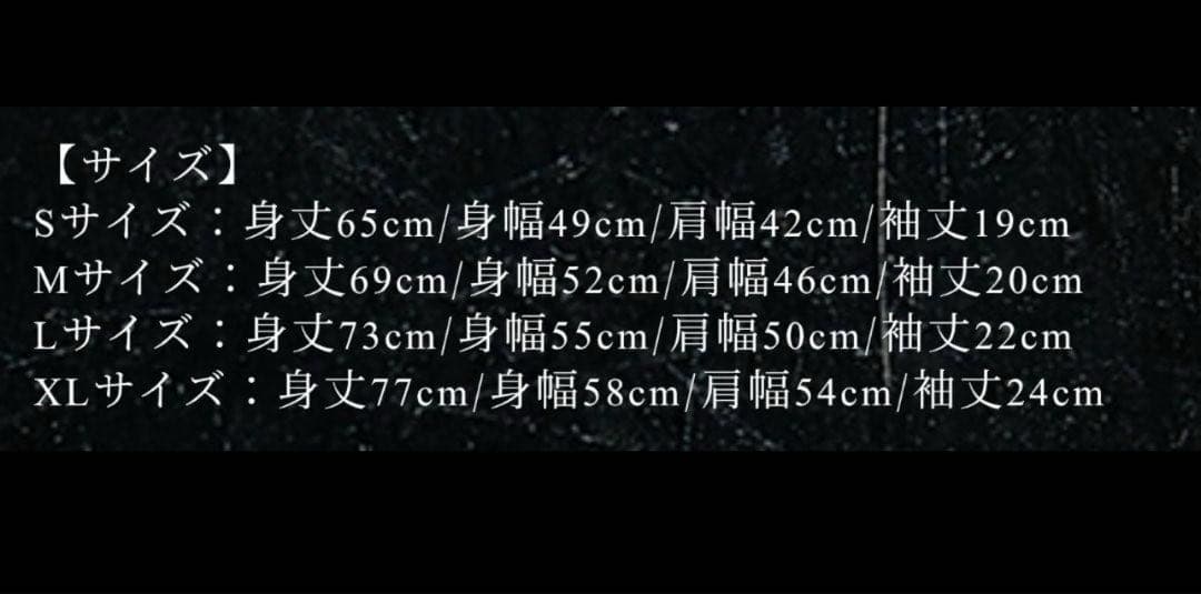 ONE OK ROCK ワンオク DETOX Tシャツ Lサイズ