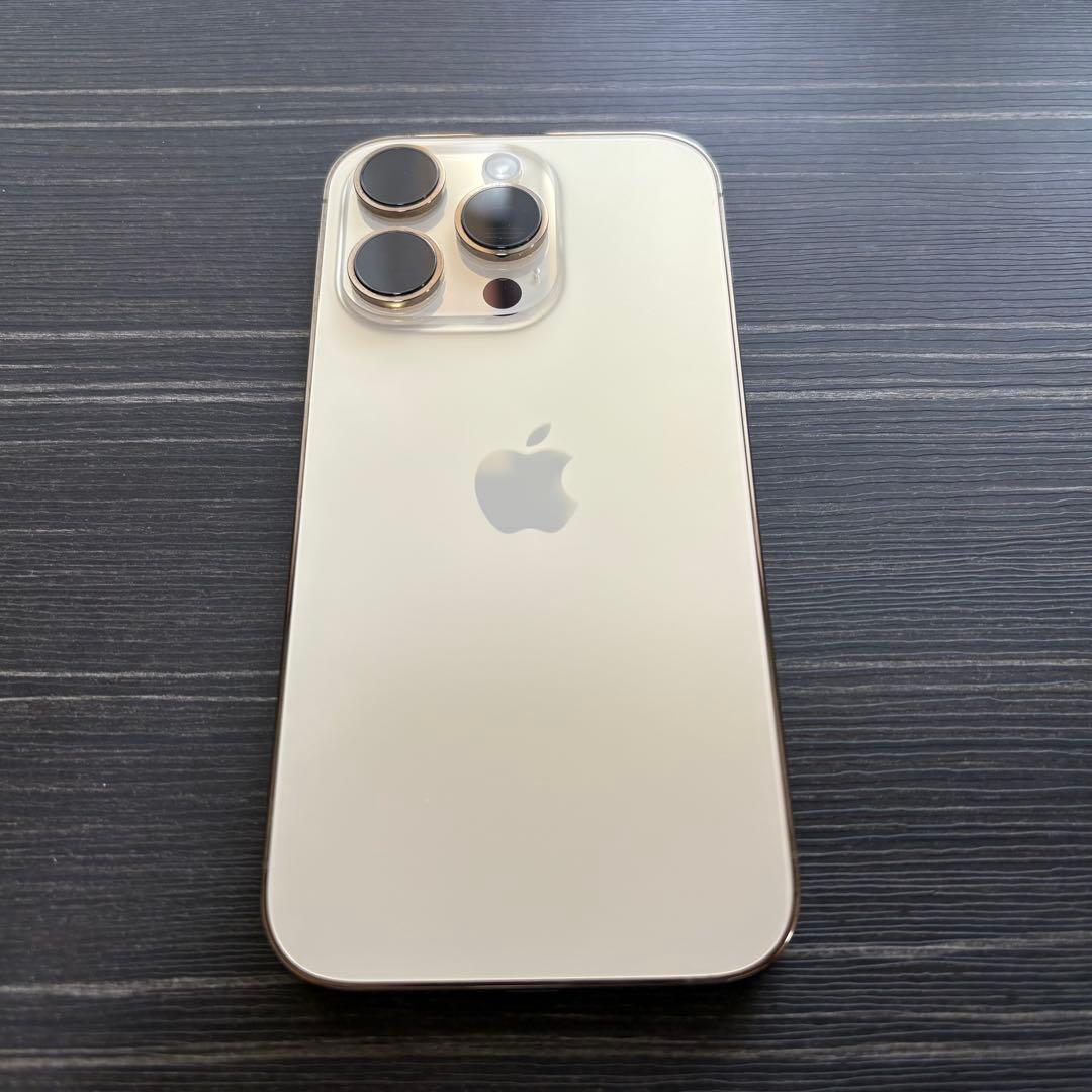 iPhone 14 Pro G バックパネル 修理 交換Apple