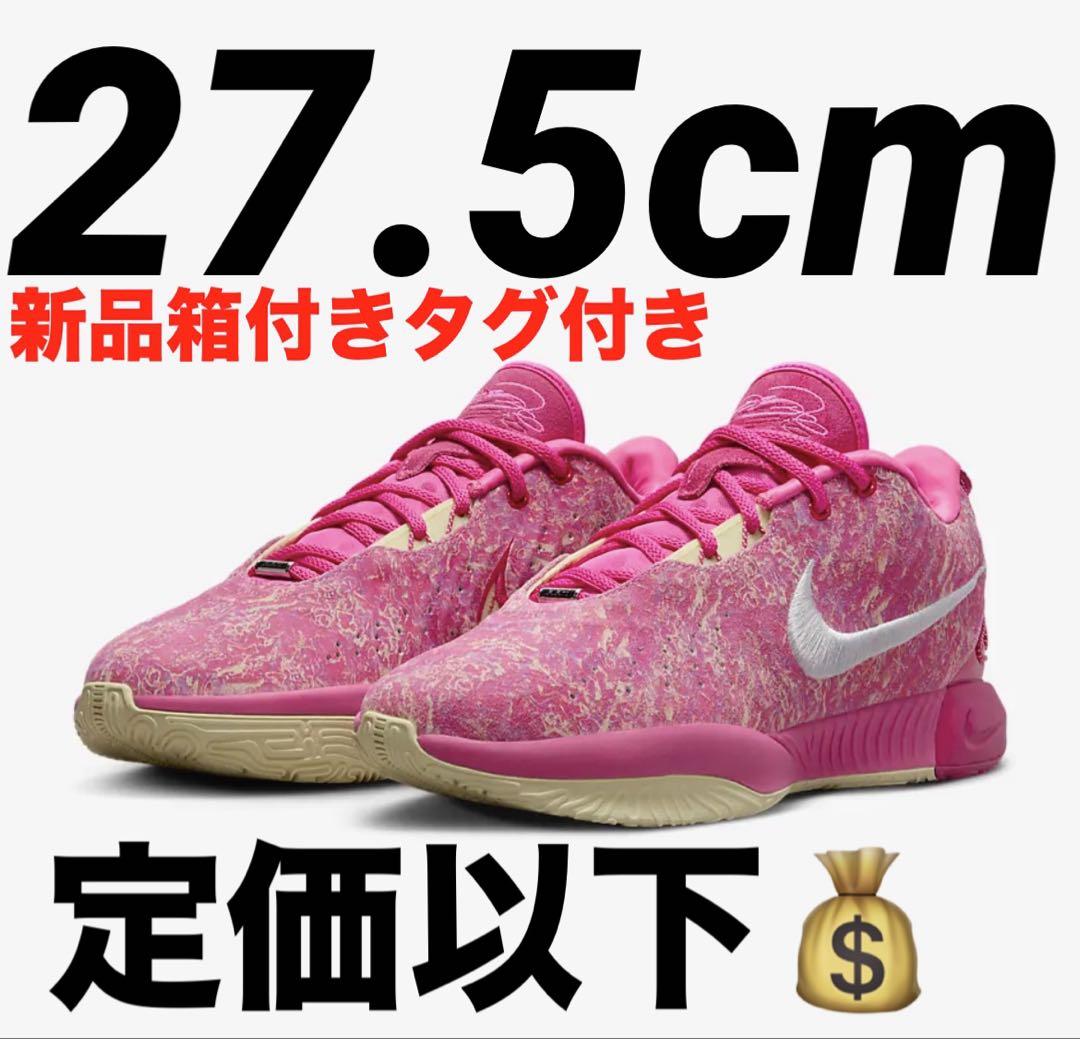 Nike LeBron21 Multi Metallic Silver レブロン