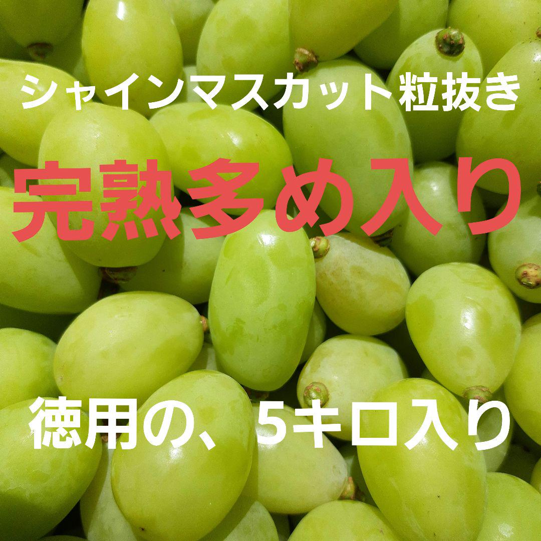 シャインマスカット完熟多めの、粒抜きお徳用5キロ入りになります。-