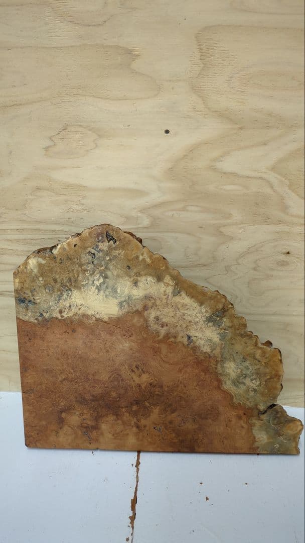 NO.1870 カリン コブ 花梨 瘤 木材 HRDEVELOPMENT_JP