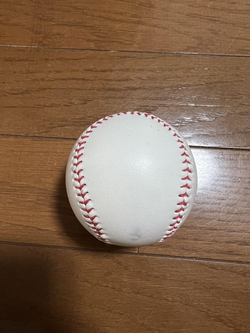 中村悠平 東京ヤクルトスワローズ 投げ込み 公式 直筆サインボール