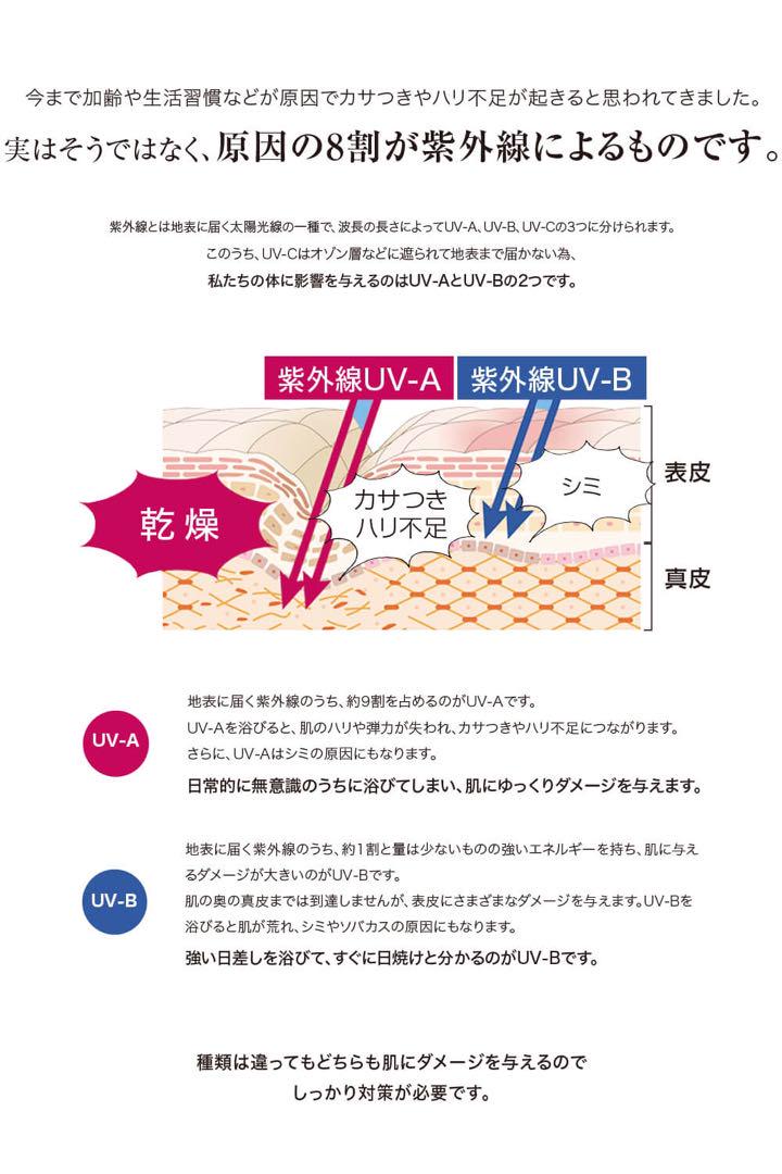 V3 プロテクションサンスクリーン　正規品保証 exp26.9.24