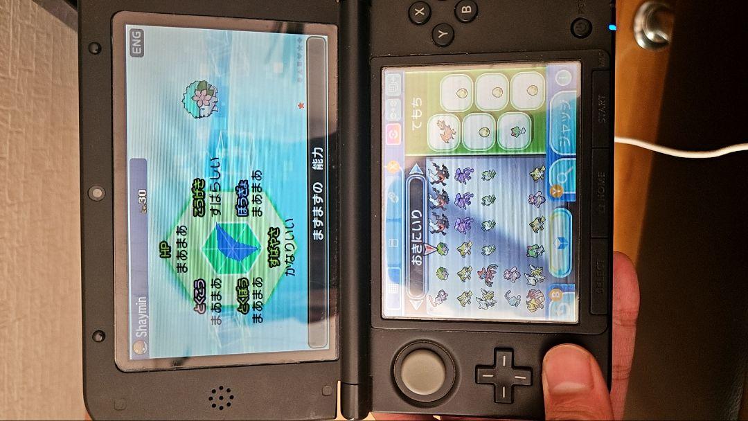 ポケットモンスター ウルトラムーン パッケージ付き