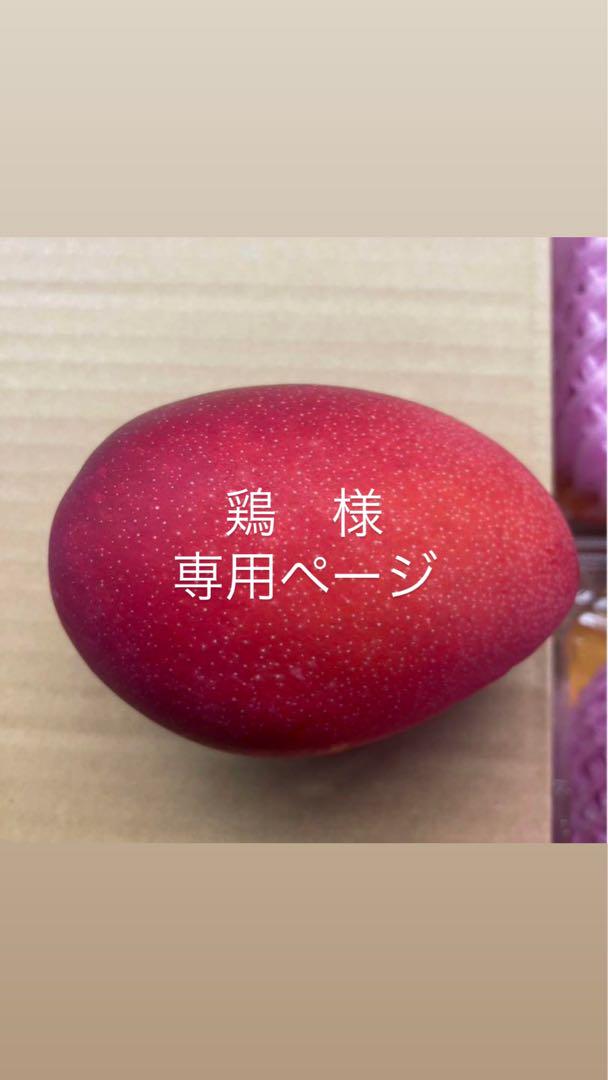 鶏 ページ　4玉