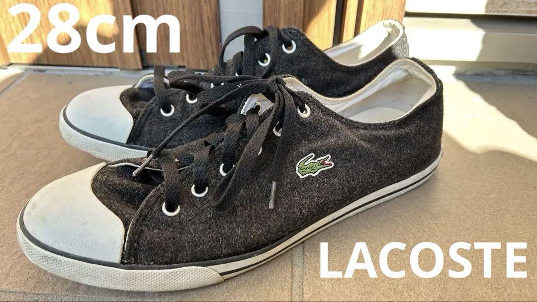 Lacoste 黒 ローカット スニーカー スウェード 28.0cm