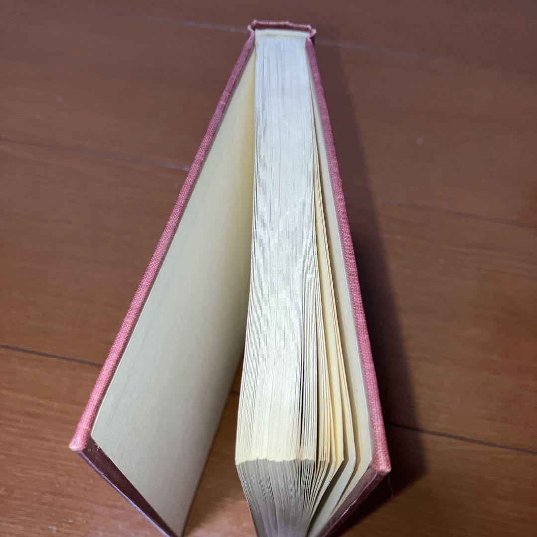 洋書 THE THEORY OF American Literature