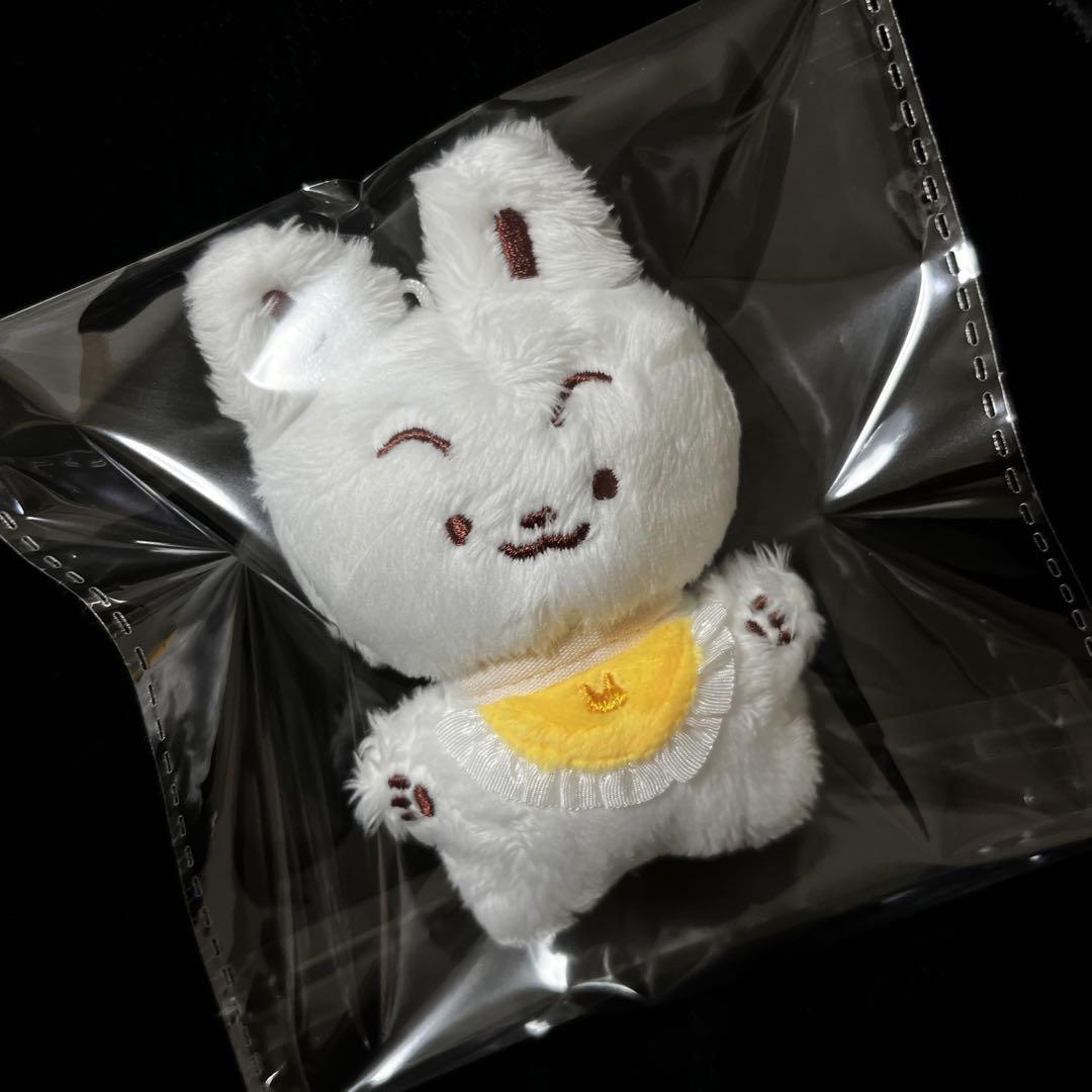 今季特売 TXT スビン 10cm ぬいぐるみ 10センチ ドール | costawindows.com