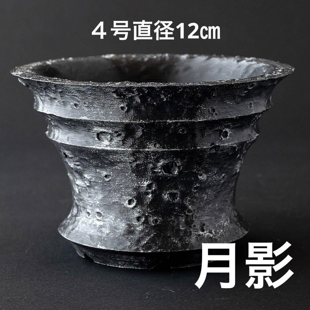 平鉢月面　入道　凪　５号3個セット　3dプリンター鉢　作家鉢　アガべ 新作】入道〜朱雀〜 5号サイズ 3dプリンター鉢 作家鉢 アガベ