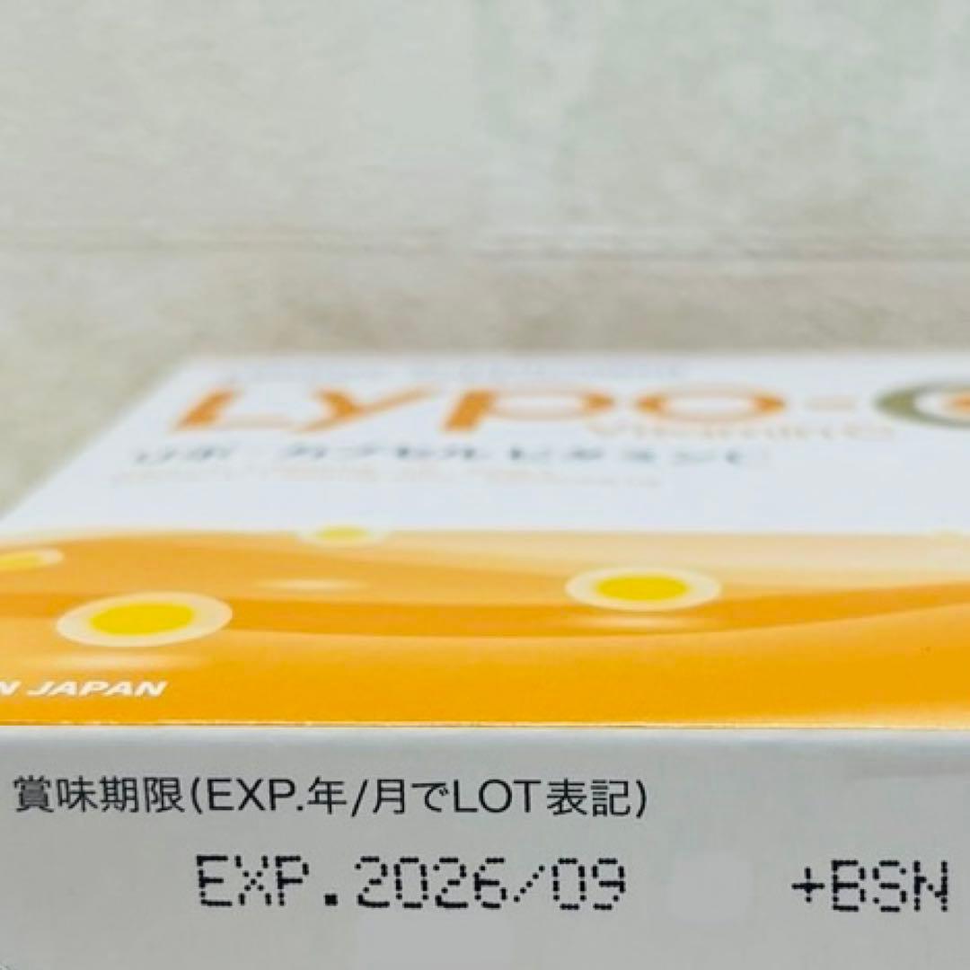 即購入OK ポストサイズ梱包 ビニール包装 リポカプセルビタミンC 60包