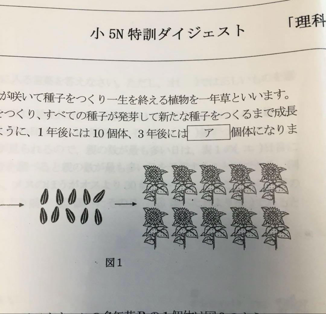 馬渕教室5N 灘中合格への道 N特訓ダイジェスト講座（算数・理科