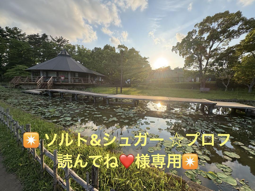 ソルト&シュガー ☆プロフ読んでね❤️様専用