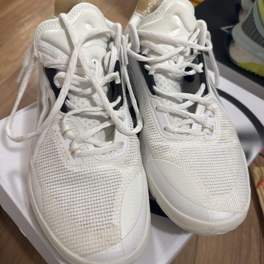 28.5㎝ Li-Ning Speed 10 Low リーニン バッシュ 白