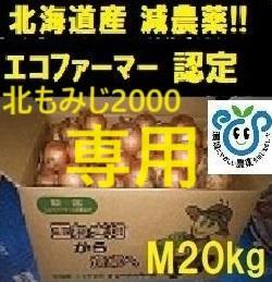 SR 様 専用北海道産 玉ねぎ 40kg Mサイズ 北もみじ 2000
