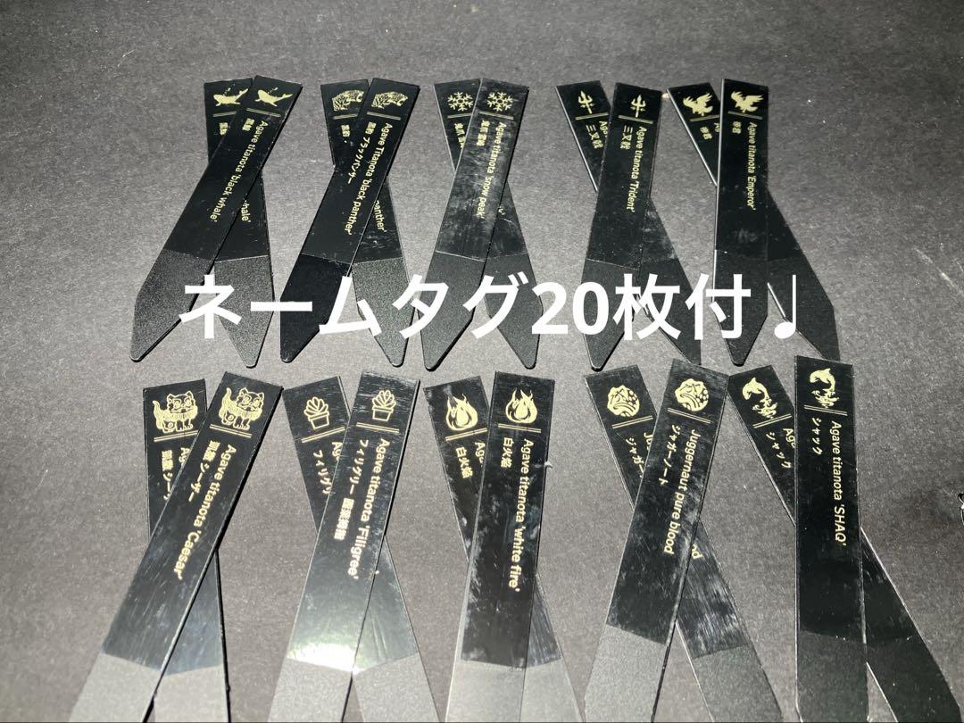 メルカリ便】10種20株セット♩抜き苗発送 ネームタグ付 - メルカリ