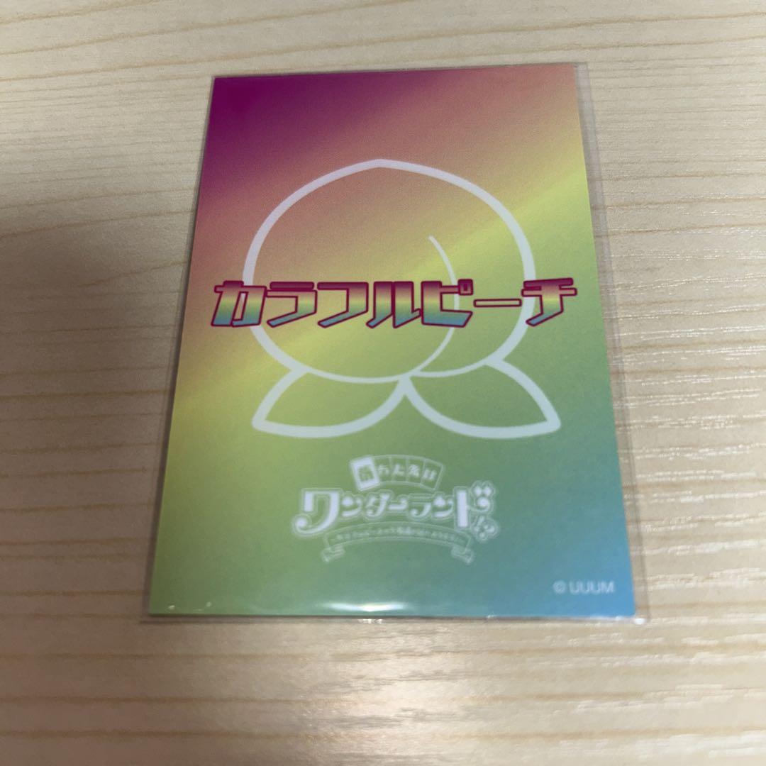 落ちた先はワンダーランド！？ たっつん サイン入り