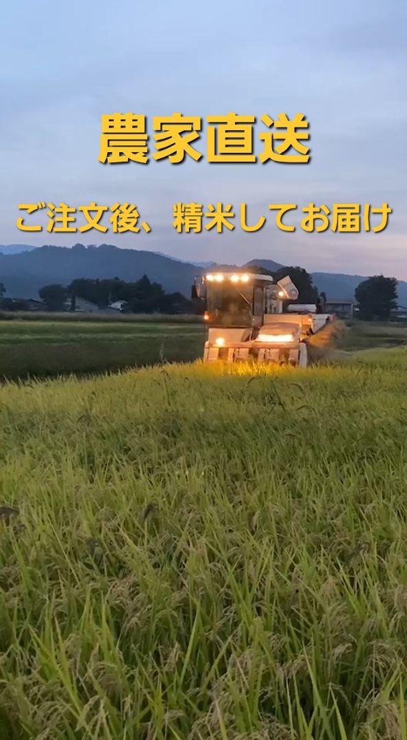 新之助 訳あり米 30kg【5kg×6袋】