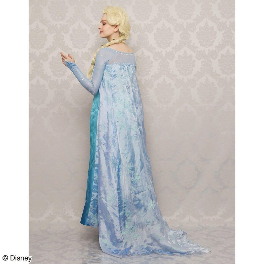 アナ雪 氷エルサ シークレットハニー　Dハロ　大人　コスプレ　ディズニー