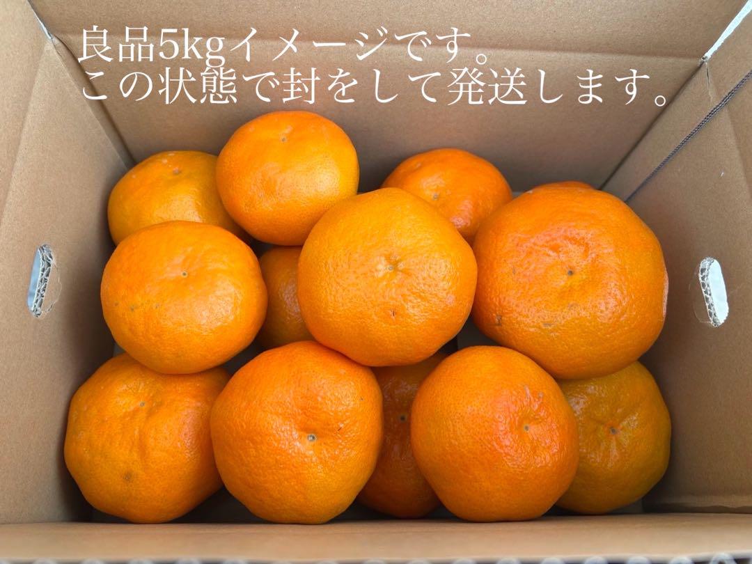 （か良5）良品 甘平 かんぺい 約5kg