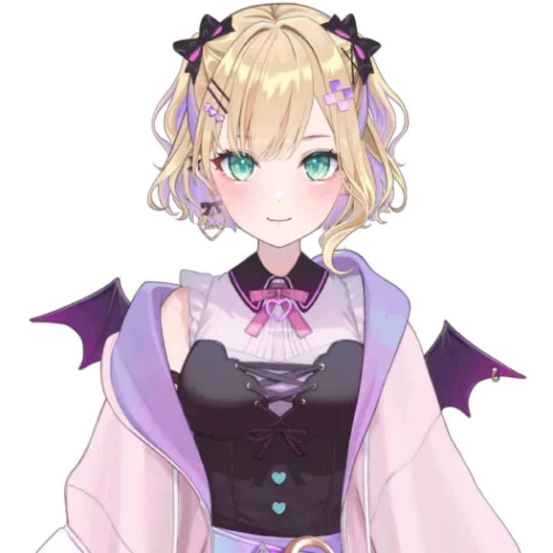 おもちウィッグオーダーページ もち】ウィッグオーダーページ