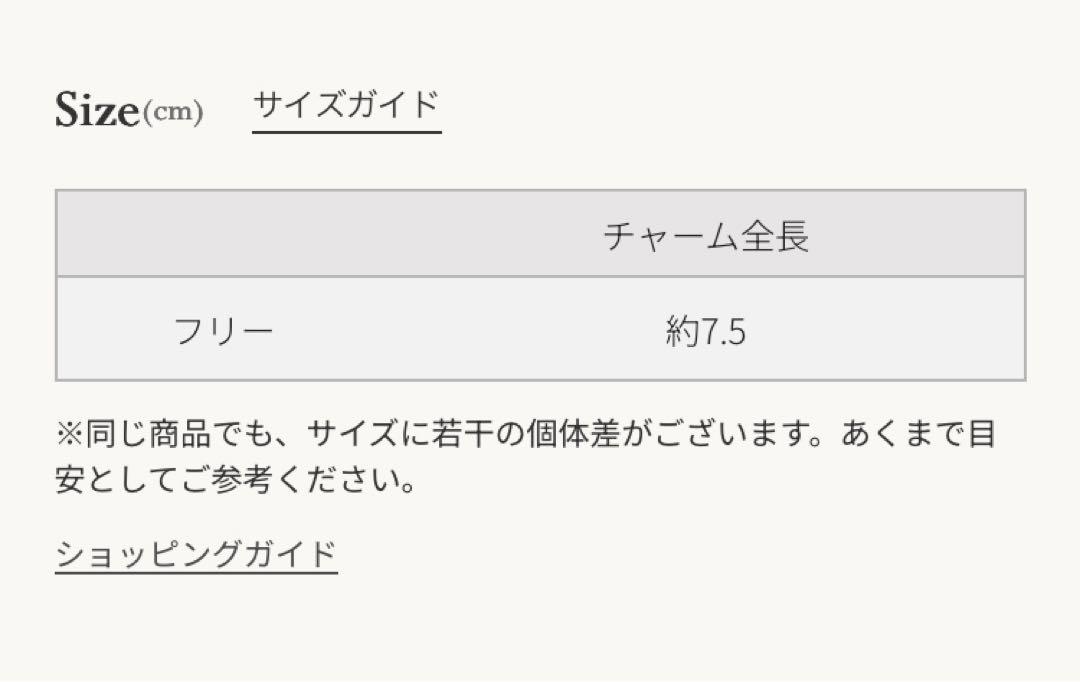 日曜限定再お値下げ★K10 ピアスチャーム