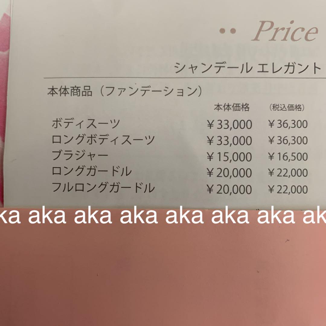 シャンデールNEW柄パワーネットE75ボディースーツバイオレット新品未使用