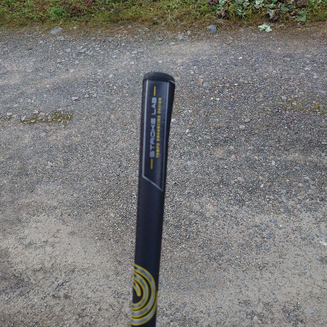 パピコ STROKE LAB BLACK BIG SEVEN TU 34