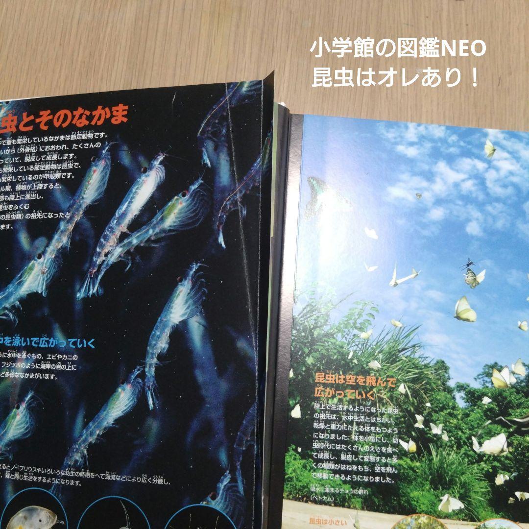 小学校の図鑑 NEO 昆虫 、昆虫2、魚、講談社の動く図鑑動物4冊セット