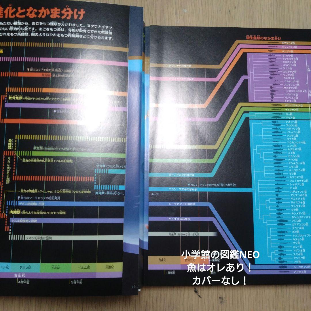 小学校の図鑑 NEO 昆虫 、昆虫2、魚、講談社の動く図鑑動物4冊セット