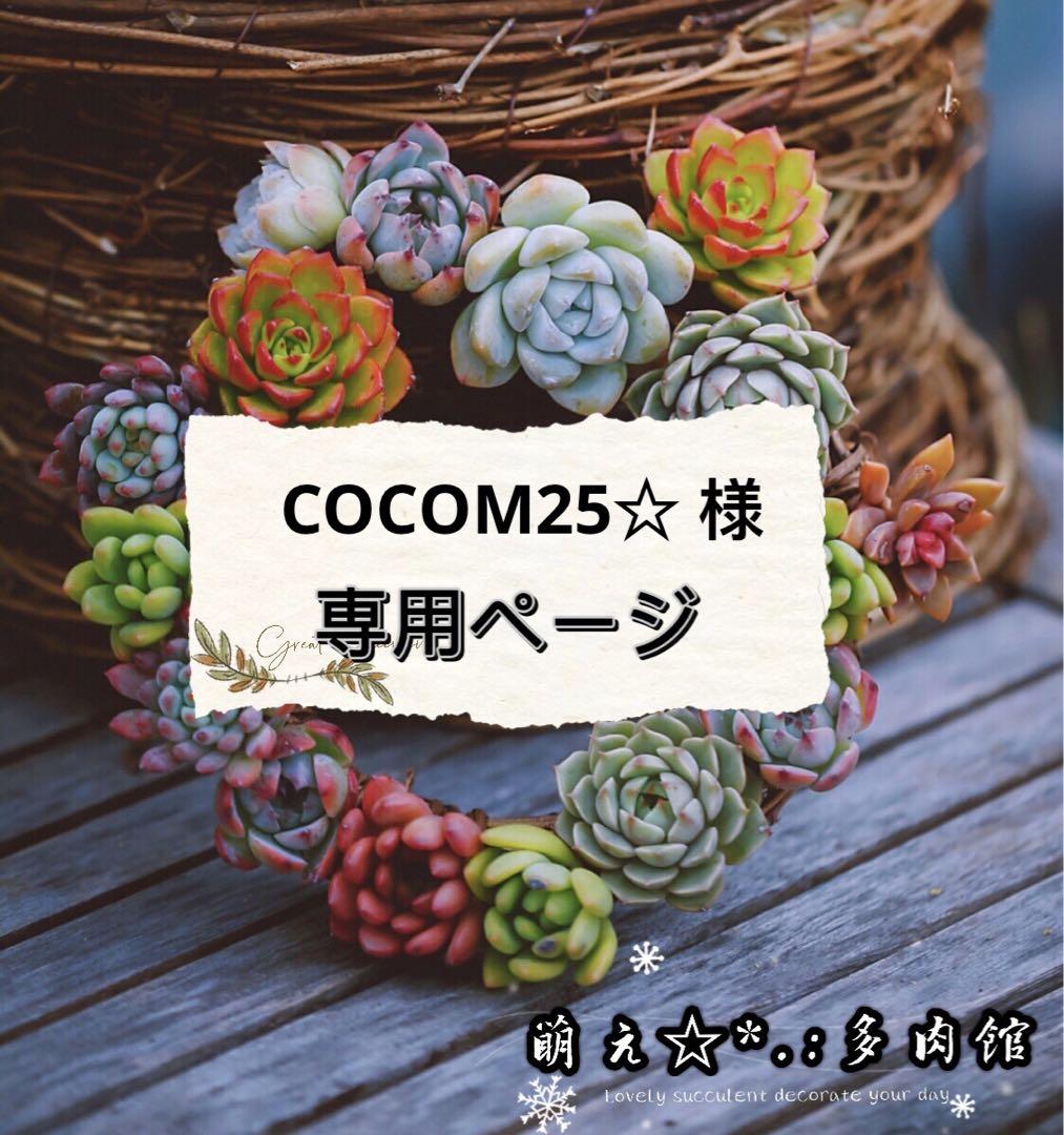 COCOM25☆ 様　専用ページ