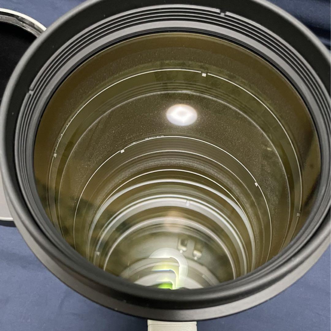 Canon EF400mm f2.8L IS Ⅱ USM+α