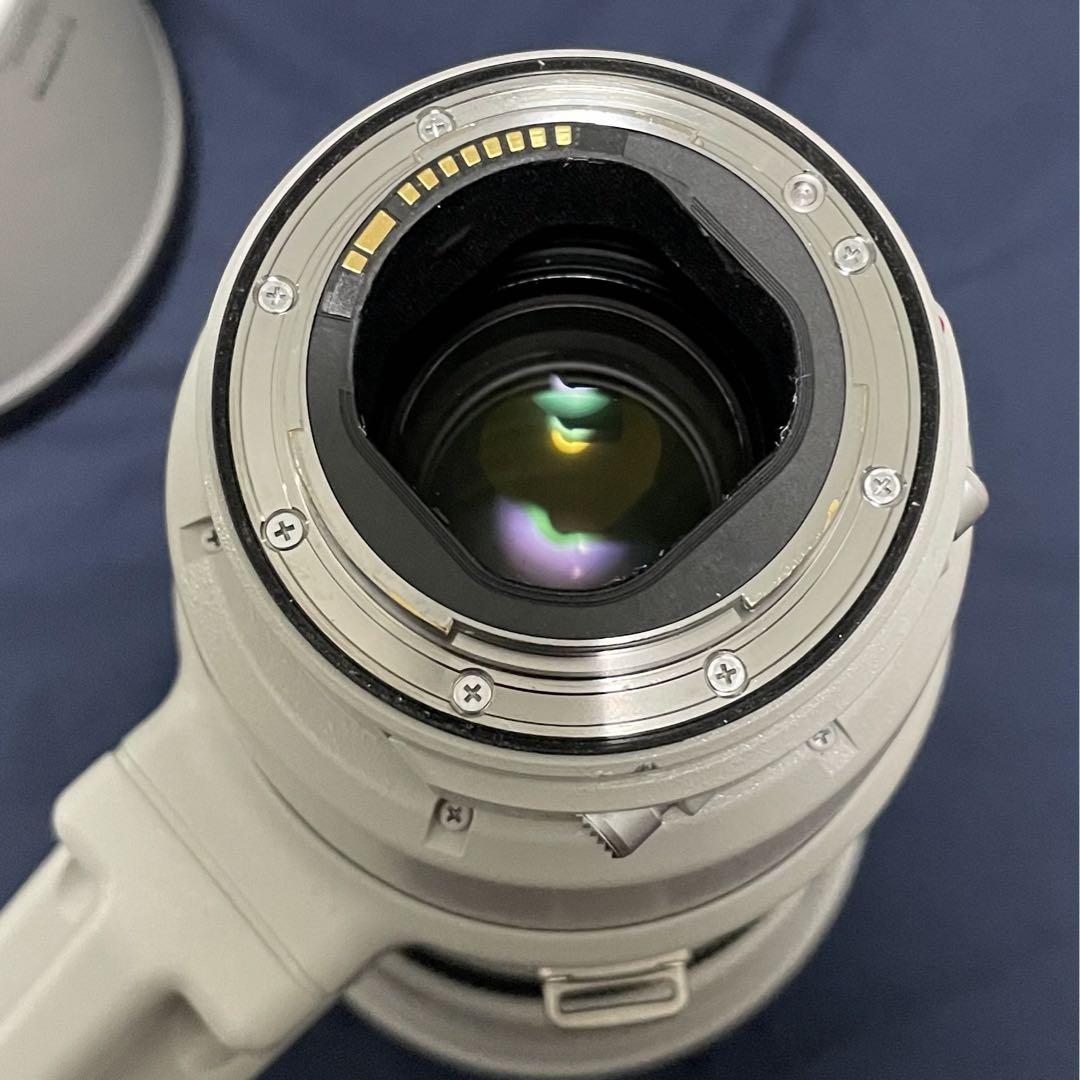 Canon EF400mm f2.8L IS Ⅱ USM+α