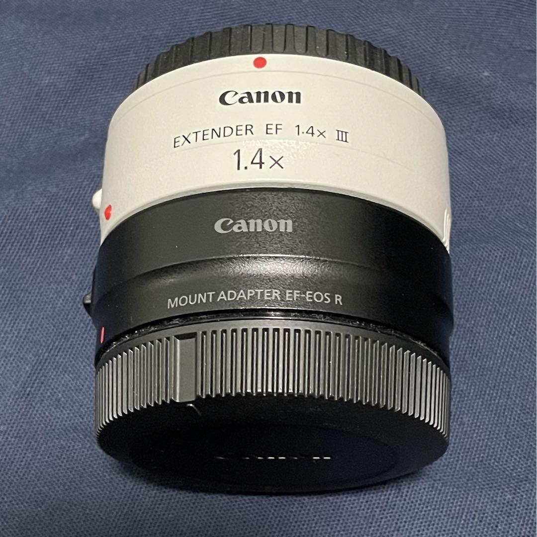 Canon EF400mm f2.8L IS Ⅱ USM+α