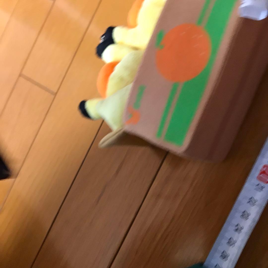 ペアピカチュウとえひめみかん