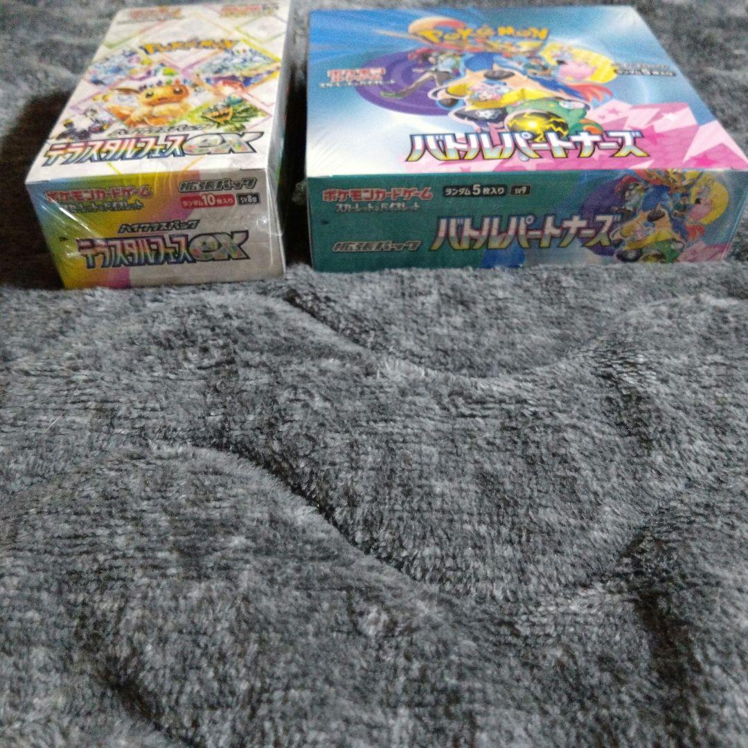 新品未開封　テラスタルフェス　バトルパートナーズ