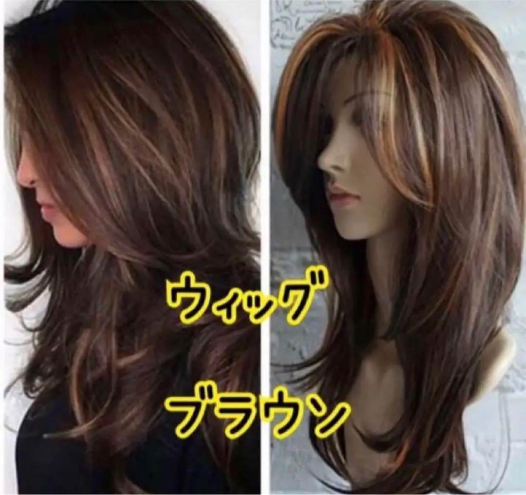 【一部予約！】 新品 ウィッグ イメチェン ロングヘア メッシュ ダークブラウン ウィッグ・エクステ