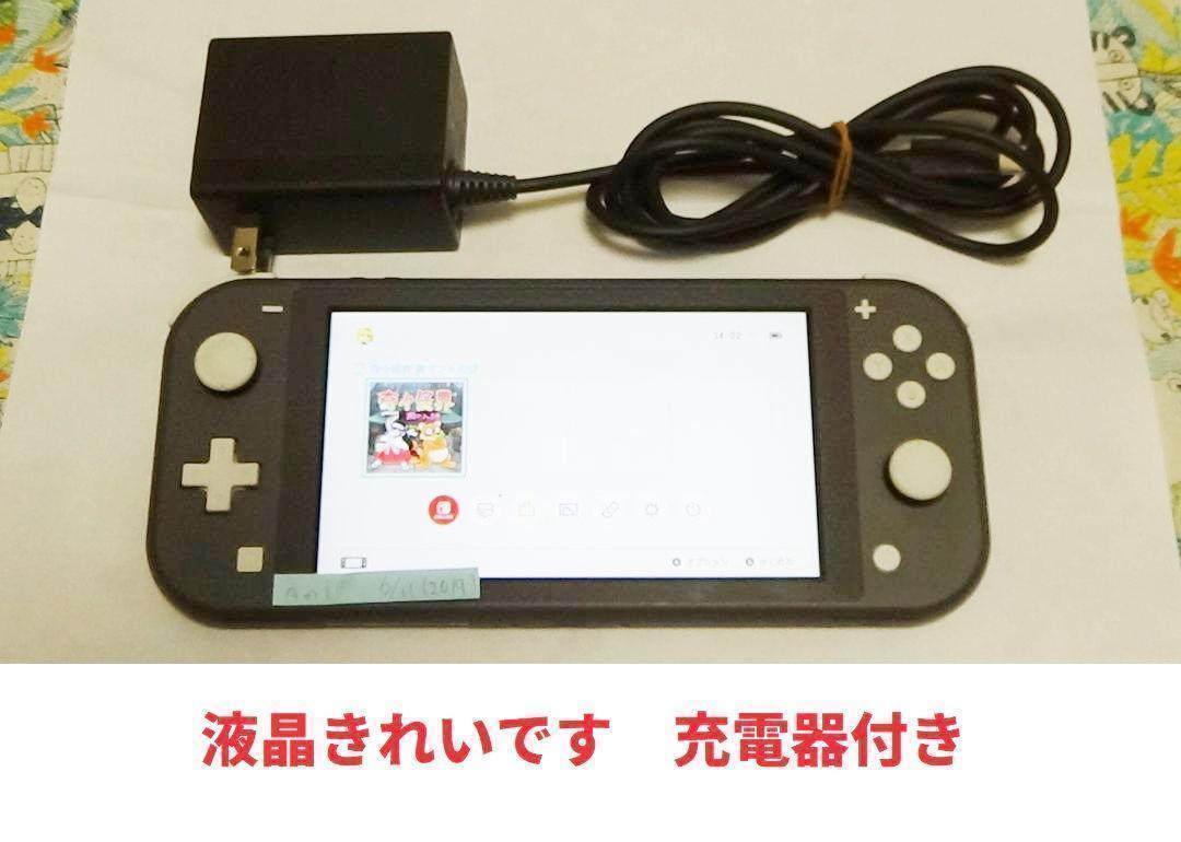 Nintendo Switch グレー 本体、付属ソフト天穂のサクナヒメ